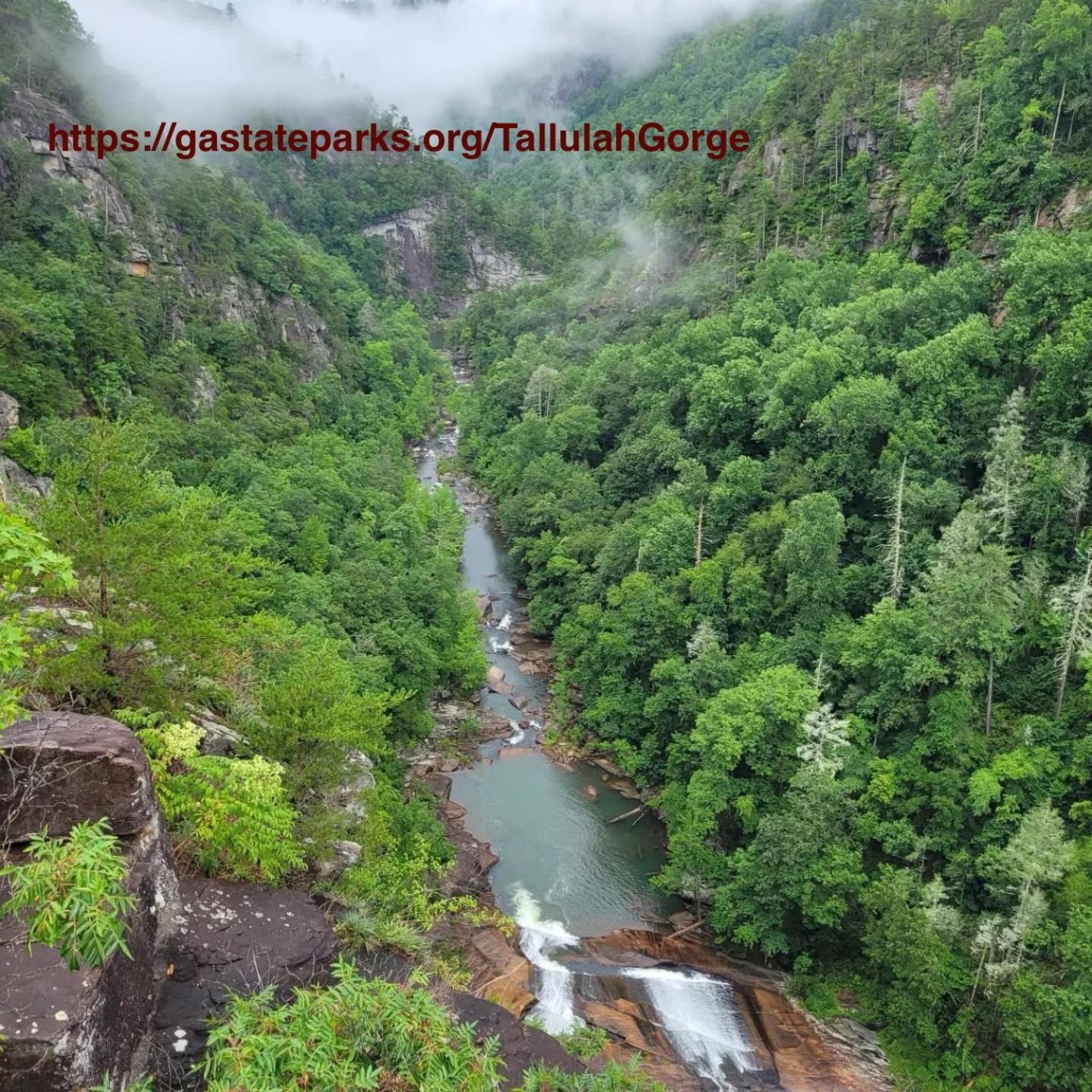 Mountain Valley Inn Диллард Экстерьер фото